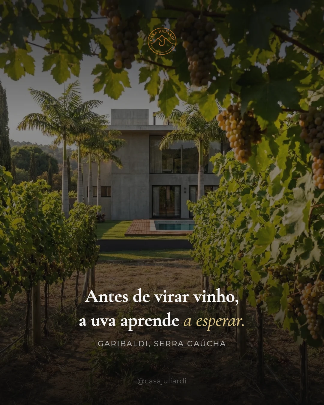 A origem de cada rótulo